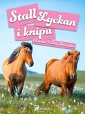 Stall Lyckan i knipa (eBook, ePUB)