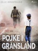 Pojke i gränsland (eBook, ePUB)