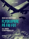 Flygkapare på fri fot (eBook, ePUB)