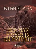 Hur man fryser in en mammut (eBook, ePUB)