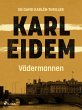 Vädermannen (eBook, ePUB) - Bild 1