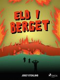 Eld i berget (eBook, ePUB)