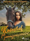Katastrof på ponnypensionatet (eBook, ePUB)
