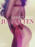 Julnatten (eBook, ePUB)