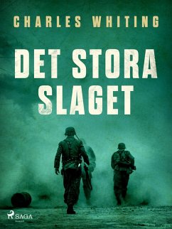 Cover Det stora slaget (eBook, ePUB)