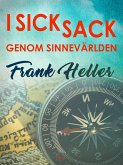 I sicksack genom sinnevärlden (eBook, ePUB)