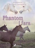Phantom i fara (eBook, ePUB)