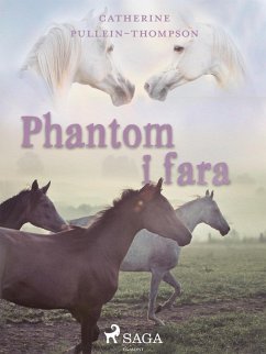 Phantom i fara (eBook, ePUB) - Thompson, Christine Pullein