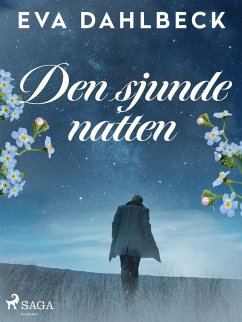 Cover Den sjunde natten (eBook, ePUB)