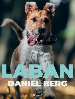 Laban (eBook, ePUB) - Berg, Daniel