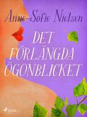 Det förlängda ögonblicket (eBook, ePUB)