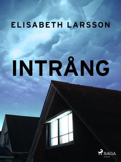 Cover Intrång (eBook, ePUB)