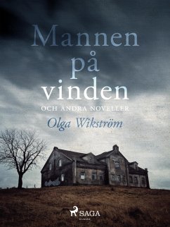 Cover Mannen på vinden och andra noveller (eBook, ePUB)