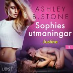 Sophies utmaningar 3: Justine - erotisk novell (MP3-Download)