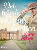 Det hände i Kisumbacken (eBook, ePUB)