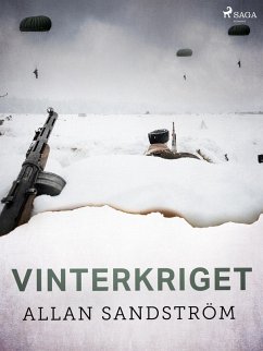 Cover Vinterkriget (eBook, ePUB)