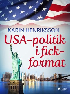 Cover USA-politik i fickformat (eBook, ePUB)