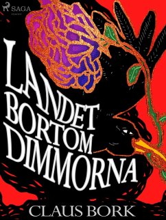 Cover Landet bortom dimmorna (eBook, ePUB)