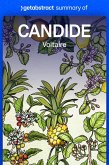 Summary of Candide by Voltaire (eBook, ePUB) Summary of Candide by Voltaire (eBook, ePUB)