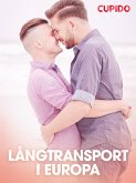 Långtransport i Europa (eBook, ePUB)