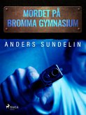 Mordet på Bromma gymnasium (eBook, ePUB)