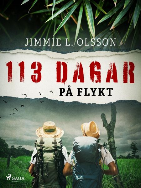 113 dagar på flykt (eBook, ePUB)