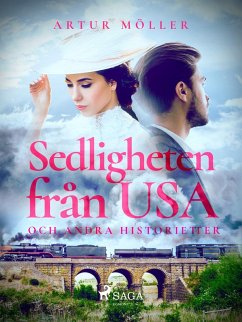 Cover Sedligheten från USA (eBook, ePUB)