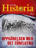 Uppgörelsen med det förflutna (eBook, ePUB)