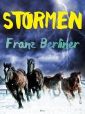 Stormen (eBook, ePUB)