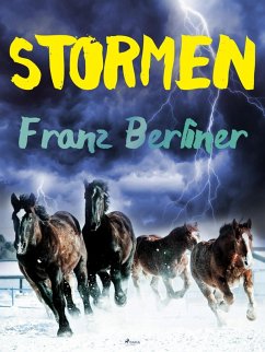 Cover Stormen (eBook, ePUB)