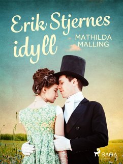 Cover Erik Stjernes idyll (eBook, ePUB)