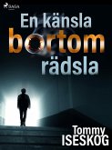 En känsla bortom rädsla (eBook, ePUB)