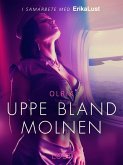 Uppe bland molnen - erotisk novell (eBook, ePUB)