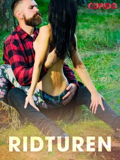 Cover Ridturen (eBook, ePUB)