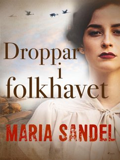 Cover Droppar i folkhavet (eBook, ePUB)