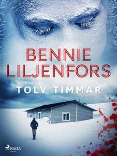 Cover Tolv timmar (eBook, ePUB)