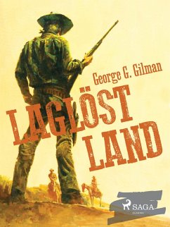 Cover Laglöst land (eBook, ePUB)