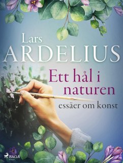 Cover Ett hål i naturen, essäer om konst (eBook, ePUB)