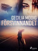 Försvinnandet (eBook, ePUB)