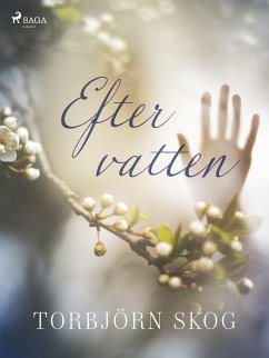 Cover Efter vatten (eBook, ePUB)