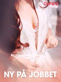 Ny på jobbet - erotiska noveller (eBook, ePUB)