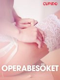 Operabesöket - erotiska noveller (eBook, ePUB)