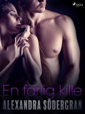 En farlig kille (eBook, ePUB)