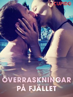 Cover Överraskningar på fjället (eBook, ePUB)
