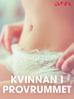 Cover Kvinnan i provrummet - erotiska noveller (eBook, ePUB)