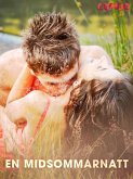 En midsommarnatt (eBook, ePUB)
