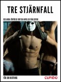 Tre stjärnfall - och andra förförisk erotiska noveller från Cupido (eBook, ePUB) Tre stjärnfall - och andra förförisk erotiska noveller från Cupido (eBook, ePUB)
