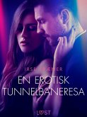 En erotisk tunnelbaneresa - erotisk novell (eBook, ePUB)