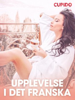 Cover Upplevelse i det franska - erotiska noveller (eBook, ePUB)