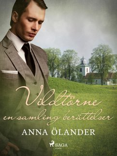 Cover Vildtörne: en samling berättelser (eBook, ePUB)